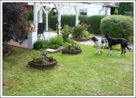 Garten des Urlaubshauses mit Hunden